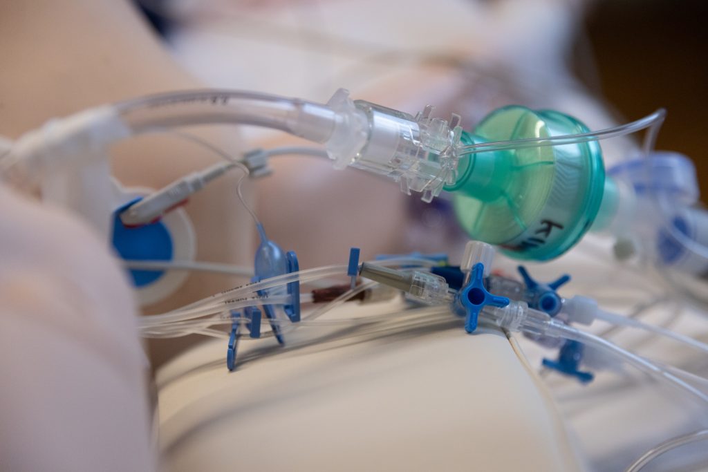 2025 12 krewenka gggg8740